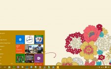 Vera Bradley win10 theme