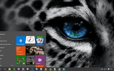 Leopard win10 theme