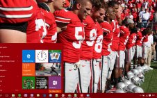 Ohio State win10 theme