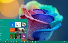 Rose win10 theme