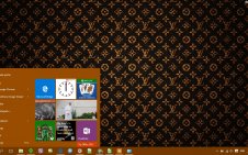 Louis Vuitton win10 theme