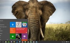 Elephant win10 theme