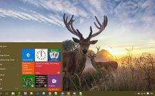 Deer win10 theme