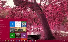 Pink win10 theme