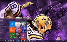 LSU win10 theme