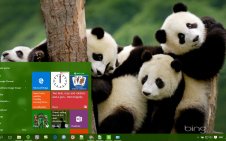 Panda win10 theme
