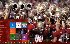 FSU win10 theme