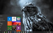 Bird win10 theme