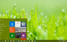 Grass win10 theme