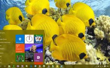 Fish win10 theme