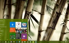 Bamboo win10 theme