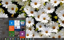 Daisy win10 theme