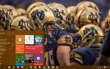 Notre Dame Fighting Irish win10 theme