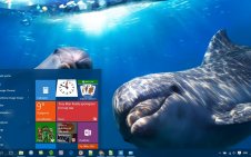 Dolphin win10 theme