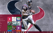 Texans win10 theme