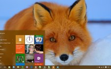 Fox win10 theme