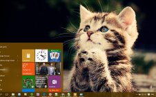 Kitten win10 theme