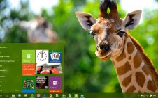 Giraffe win10 theme