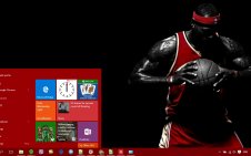 Lebron James win10 theme