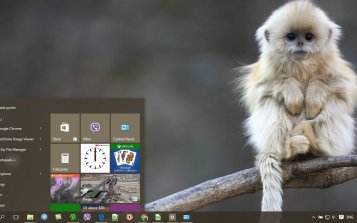 Monkey Theme Desktop