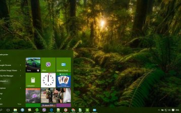 Jungle Theme Desktop