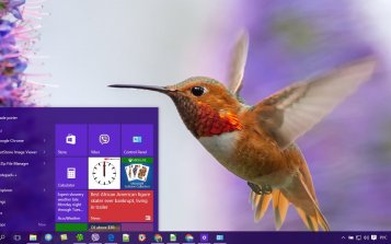 Hummingbird Theme Desktop