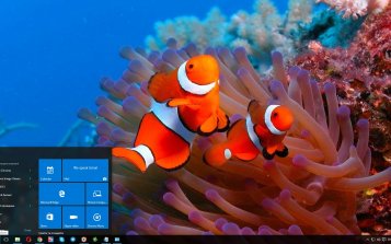 Ocean Life Theme Desktop