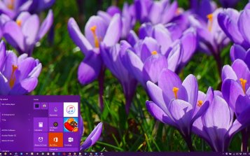 Flowers (Dual Monitor) Theme Desktop