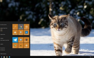Cats Theme Desktop