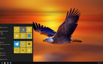 Bald Eagle Theme Desktop