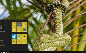 Python Theme Desktop