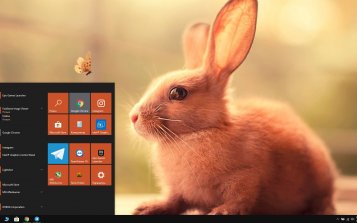 Rabbit Theme Desktop