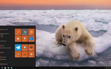 Polar Bear Theme Desktop