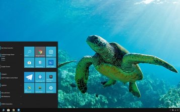 Sea Turtle Theme Desktop