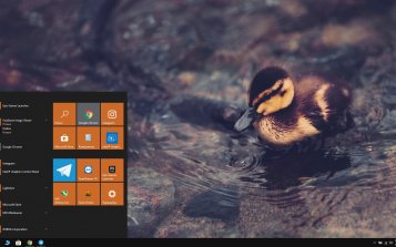 Duck Theme Desktop