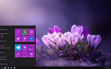 Crocus Theme Desktop