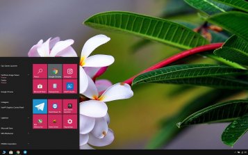 Frangipani Theme Desktop