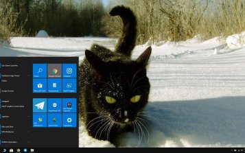 Black Cats Theme Desktop