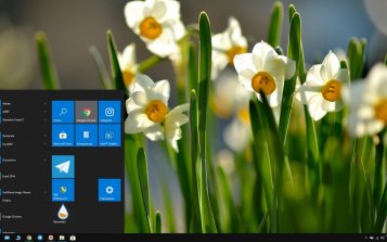 Daffodil Theme Desktop