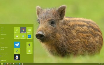 Boar Theme Desktop
