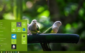 Budgerigar Theme Desktop