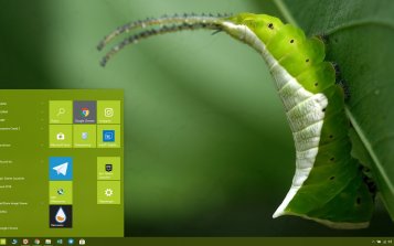 Caterpillar Theme Desktop