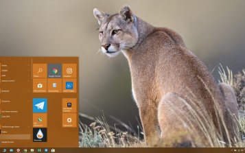 Cougar Theme Desktop