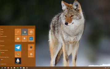 Coyote Theme Desktop