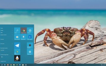 Crab Theme Desktop