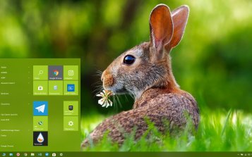Hare Theme Desktop