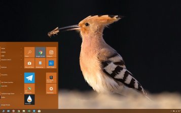 Hoopoe Theme Desktop
