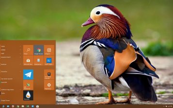 Mandarin Duck Theme Desktop