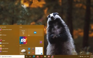 Badger Theme Desktop
