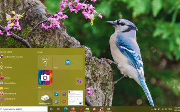 Blue Jay Theme Desktop